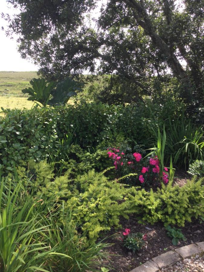 Tullybeggs B&B Clifden Exterior foto